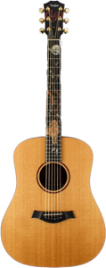 Cujo Taylor Guitar